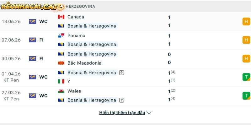 Phong độ của đội tuyển Bosnia